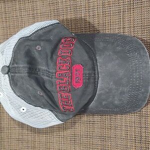Black dog hat